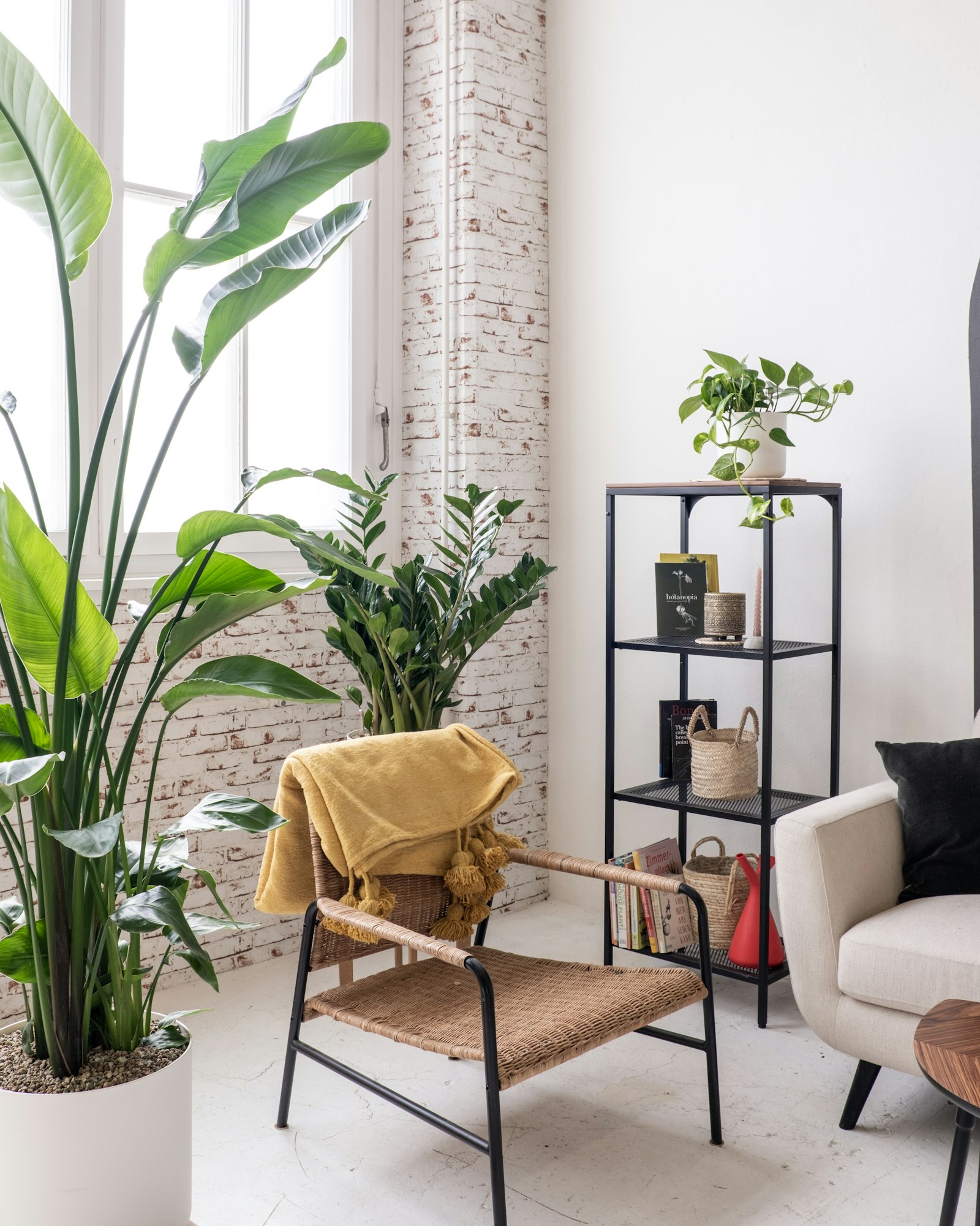 Sala luminosa con plantas de la consulta infantil en Concepción